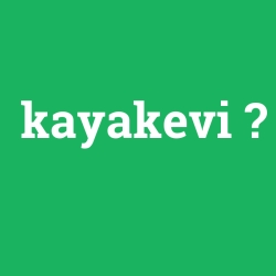kayakevi