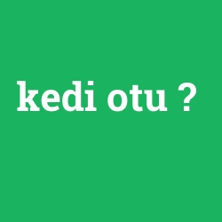 kedi otu