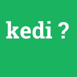 kedi