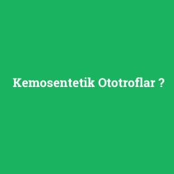 Kemosentetik Ototroflar