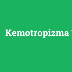 Kemotropizma