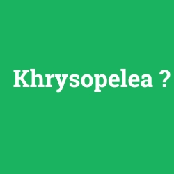 Khrysopelea