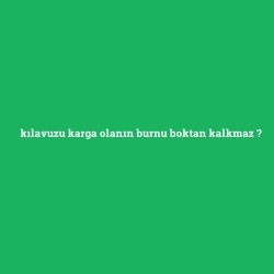 kılavuzu karga olanın burnu boktan kalkmaz foto galeri