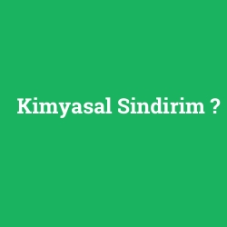 Kimyasal Sindirim