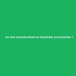 kır atın yanında duran ya huyundan ya suyundan