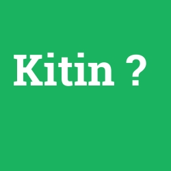Kitin