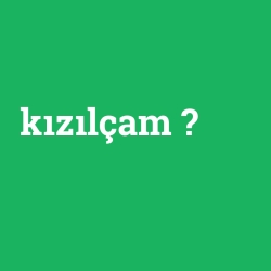 kızılçam