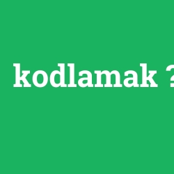 kodlamak