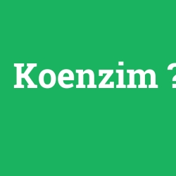 Koenzim foto galeri