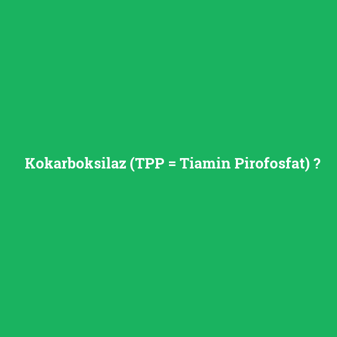 Kokarboksilaz (TPP = Tiamin Pirofosfat), Kokarboksilaz (TPP = Tiamin Pirofosfat) nedir ,Kokarboksilaz (TPP = Tiamin Pirofosfat) ne demek