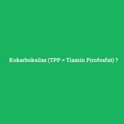 Kokarboksilaz (TPP = Tiamin Pirofosfat)
