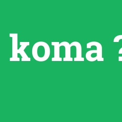 koma