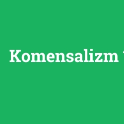 Komensalizm