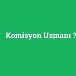 Komisyon Uzmanı