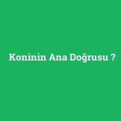 Koninin Ana Doğrusu