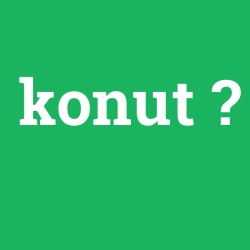 konut