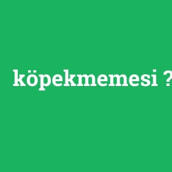 köpekmemesi foto galeri