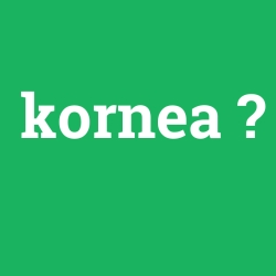 kornea
