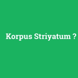 Korpus Striyatum