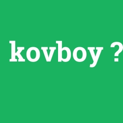 kovboy