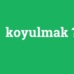 koyulmak