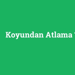 Koyundan Atlama