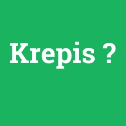 Krepis