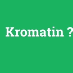 Kromatin