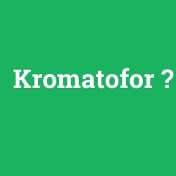 Kromatofor