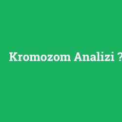 Kromozom Analizi