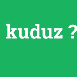 kuduz