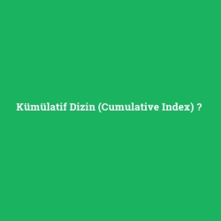Kümülatif Dizin (Cumulative Index)