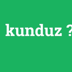 kunduz
