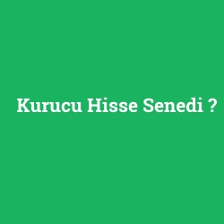 Kurucu Hisse Senedi