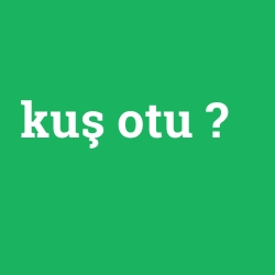 kuş otu