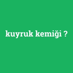 kuyruk kemiği