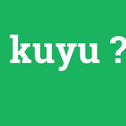 kuyu