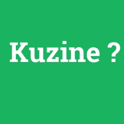 Kuzine