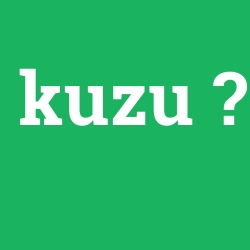 kuzu