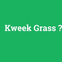 Kweek Grass