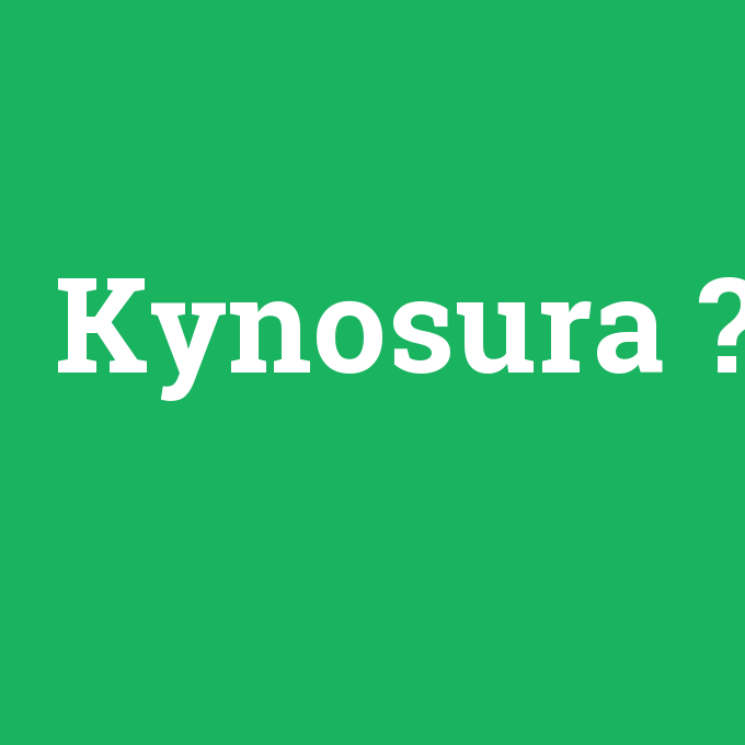 Kynosura, Kynosura nedir ,Kynosura ne demek