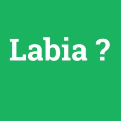 Labia
