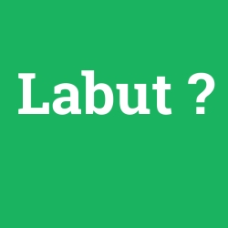 Labut