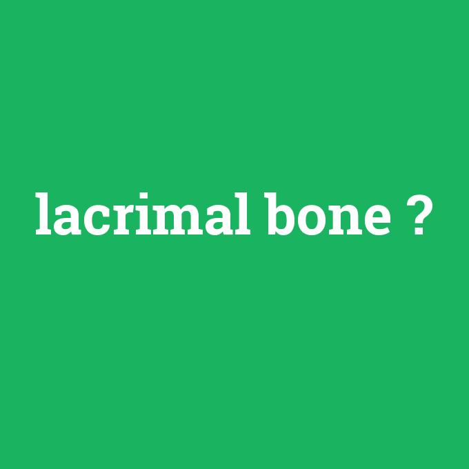 lacrimal bone, lacrimal bone nedir ,lacrimal bone ne demek