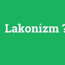 Lakonizm