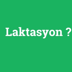 Laktasyon