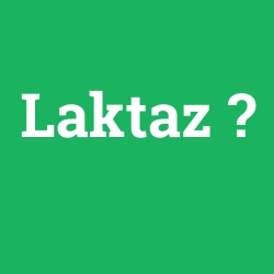 Laktaz