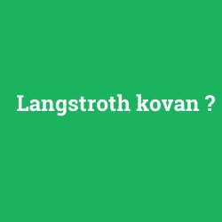 Langstroth kovan foto galeri