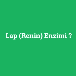 Lap (Renin) Enzimi