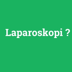 Laparoskopi